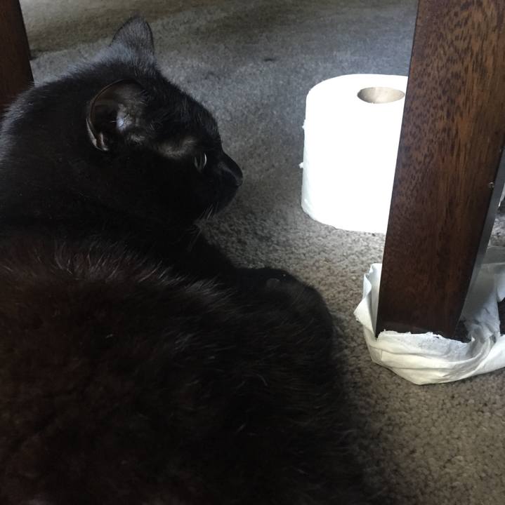 A8d3136a 6388 4b5b b093 332ff62ce36b