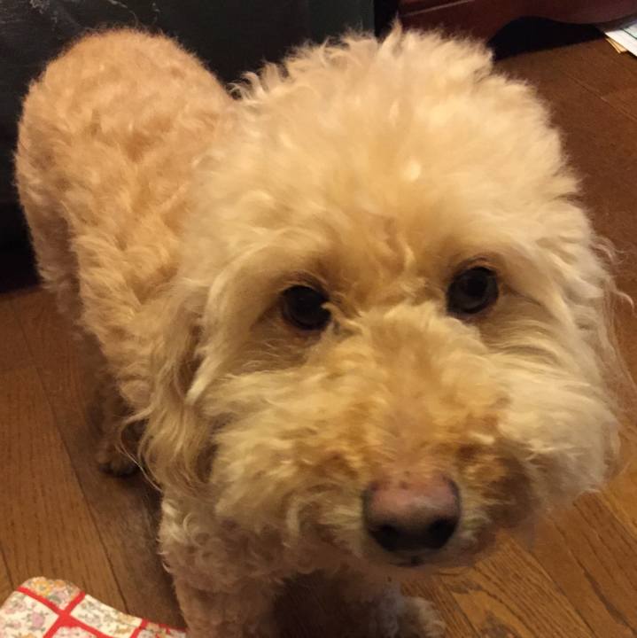 A8d33b03 a4c2 4d10 86fd 6085742a9d18