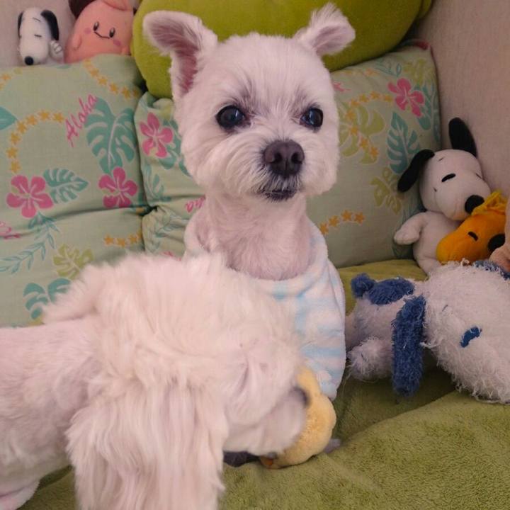 A8d3590a 7ced 4e33 8efa 08351d69f1fd