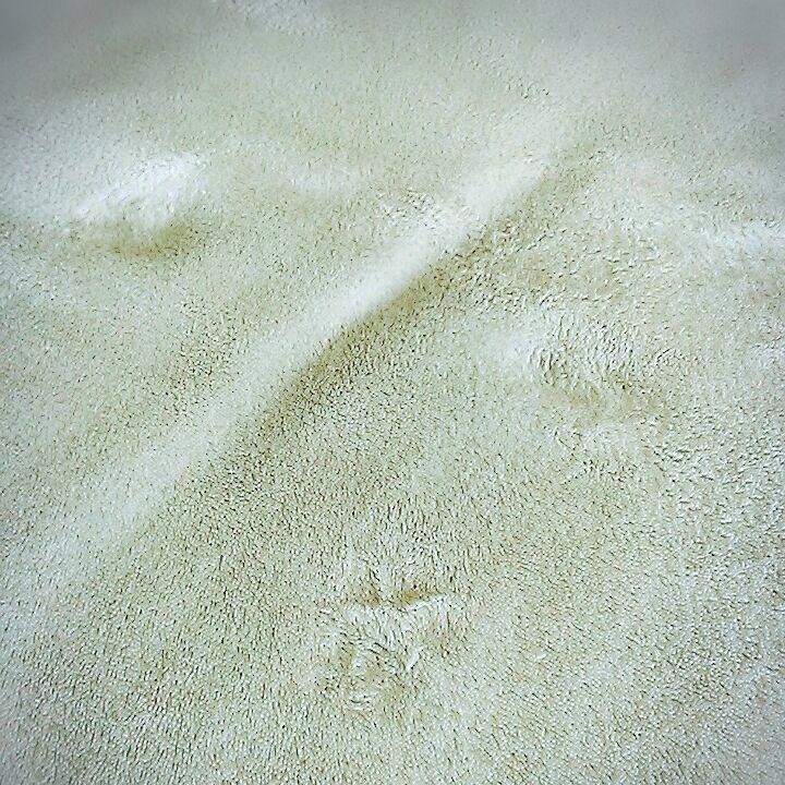 A8d3c5de 5a07 4b41 b18d b30031100e78