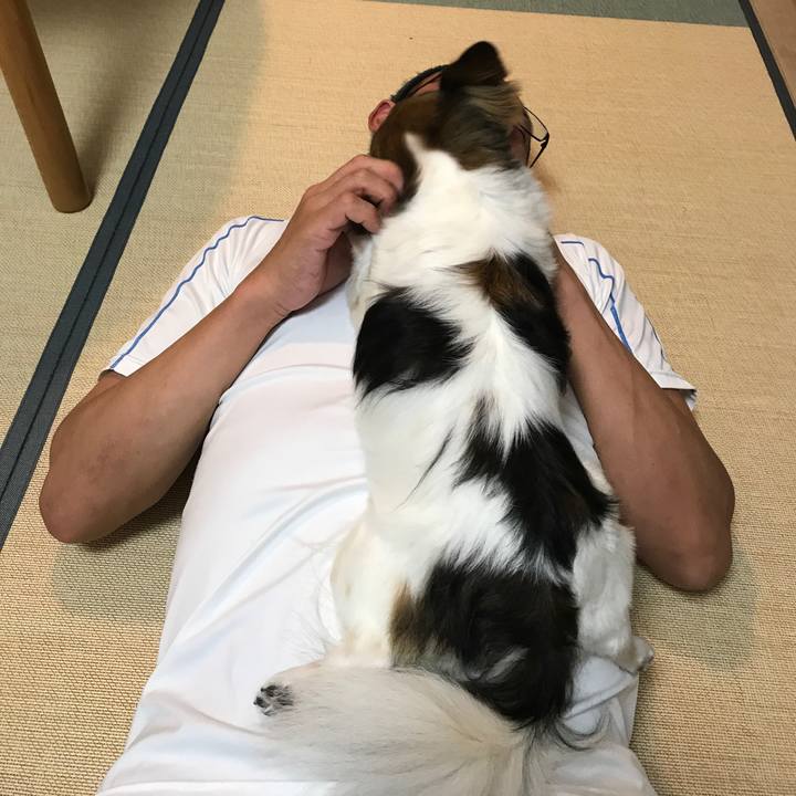 A8d3d0e3 2964 4a5f a999 e303bc574dff