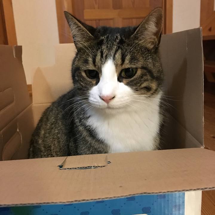 A8d3dd9a 9949 4659 b1ac 39989248fd51