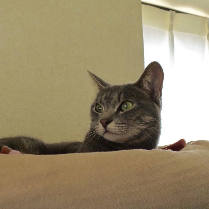 A8d3ea3e 4820 4a4a 9569 c627d62230e8