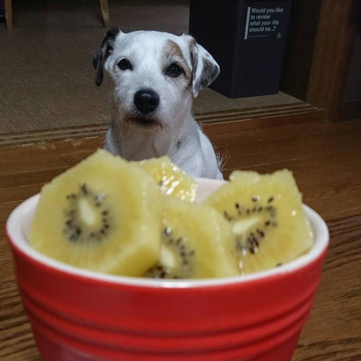 A8d41d08 4df7 4ac7 898e 176bfda1e740