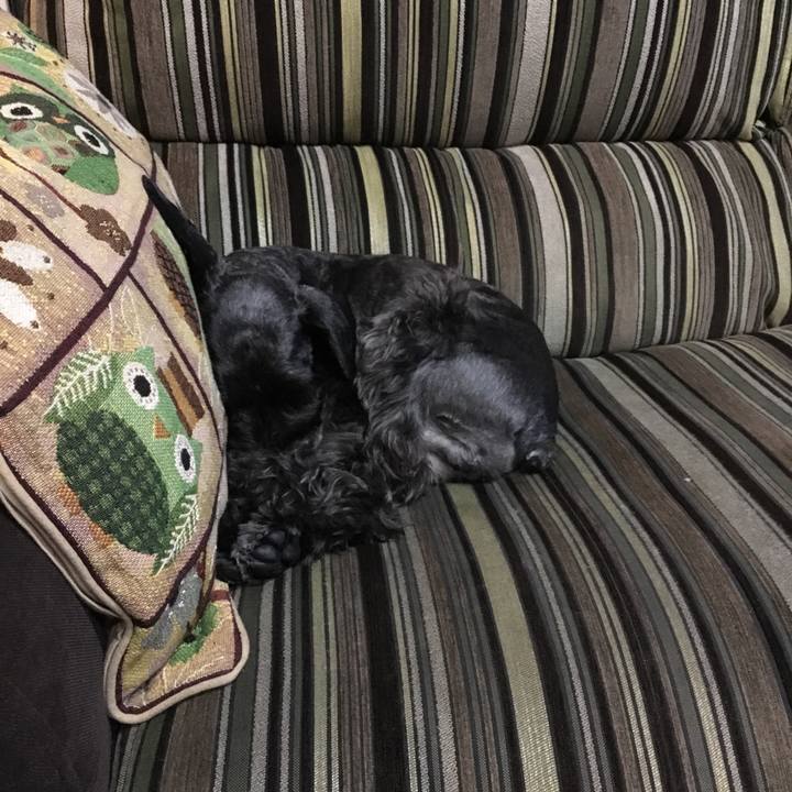 A8d44887 d81a 4ee4 a4bc 7d16fda83b75