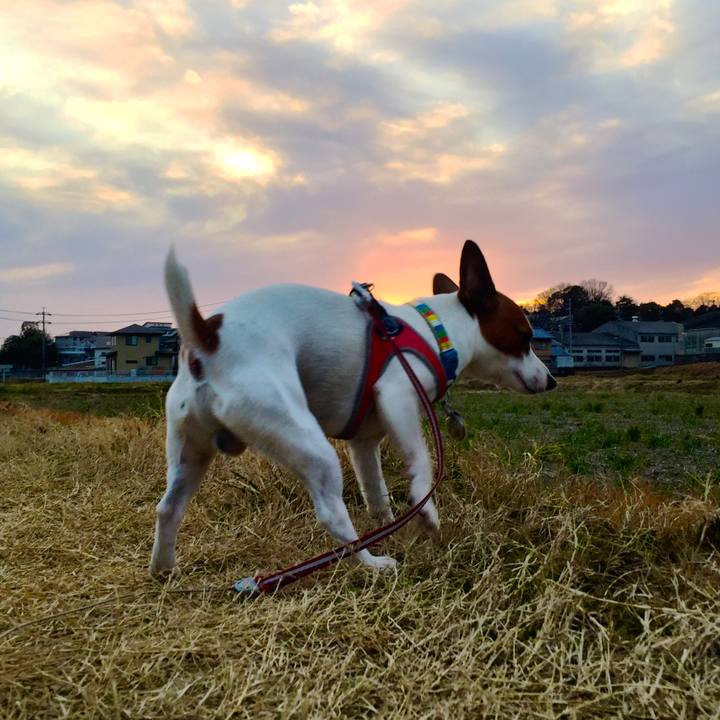 A8d480fb 0adb 4c57 8fda b42b34e3e556