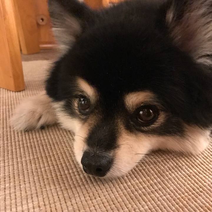 A8d4dc7e 6d9a 4469 bd38 028ea369d6ed