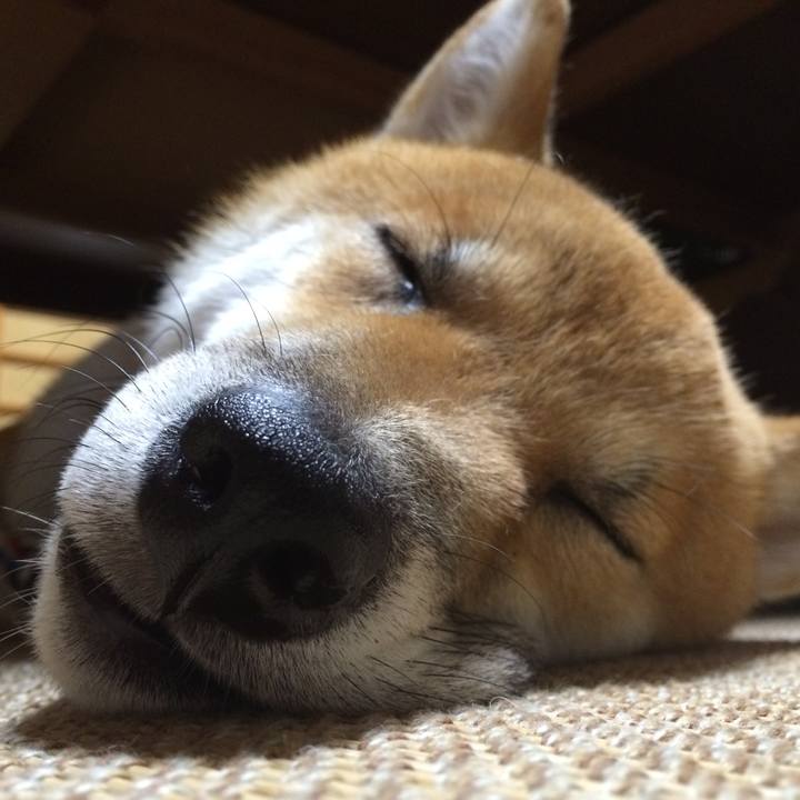 A8d57a1a 1d71 4a96 8c82 e1f304120162