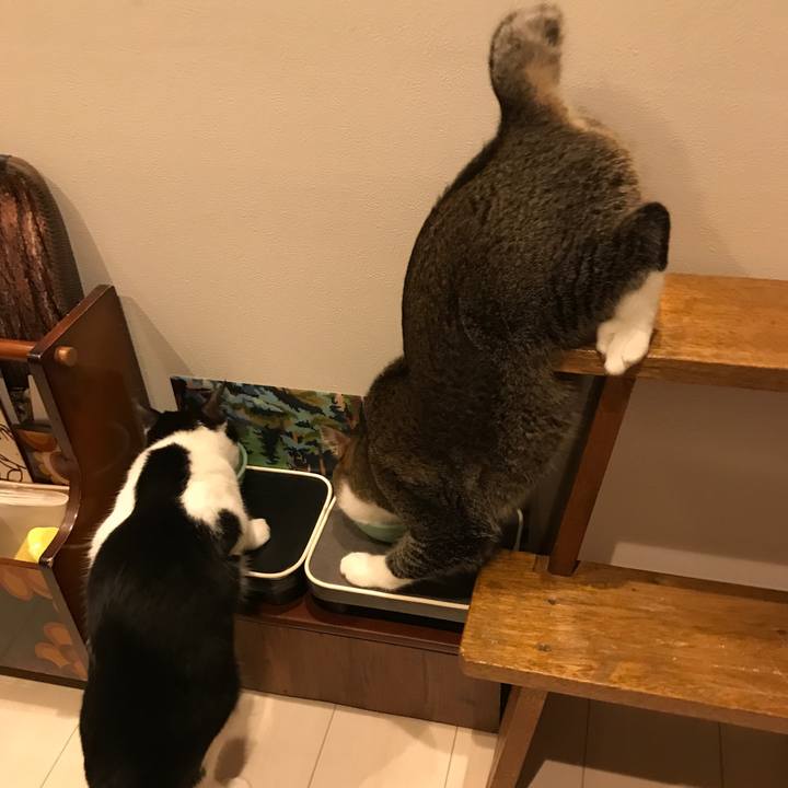 A8d58398 65b4 49e6 a92b 3f94d2e18c97