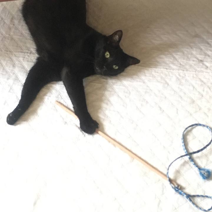 A8d58b10 edac 458e 8b22 25bf6c7d340b