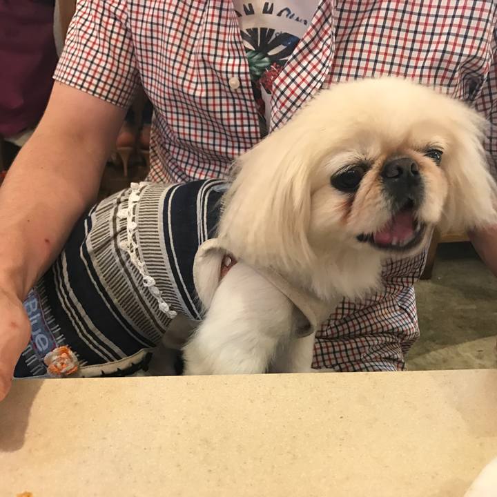 A8d70101 6d8e 4b67 a13a 33bb66cbd488