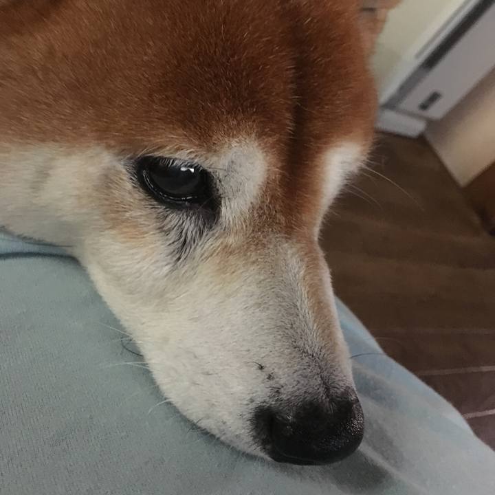 A8d7319f 1f47 40e8 8896 c957e720bc26