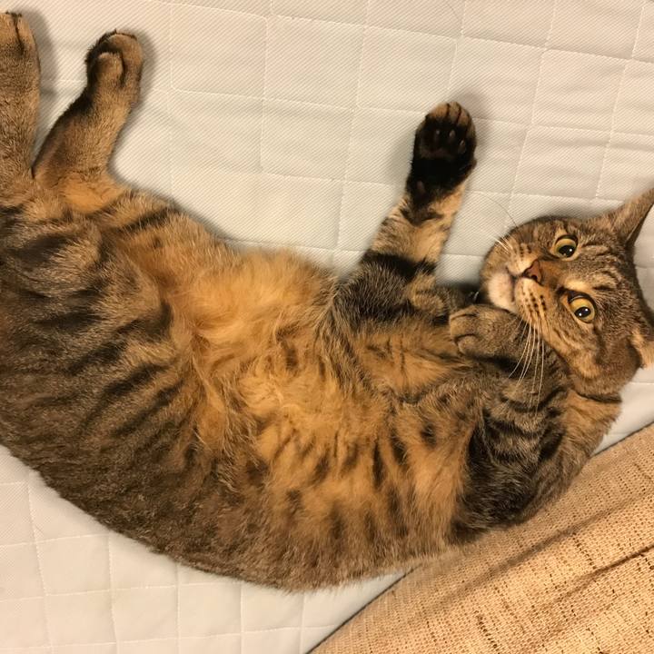 A8d7ce3b 3e3d 4676 b79e a40492d95781