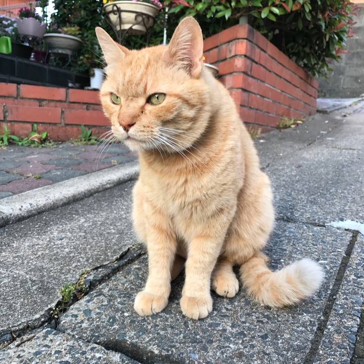 A8d7eb9b 7c99 4dec b802 1597ad88129f