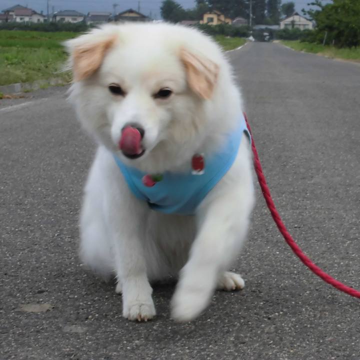 A8d801b8 fe10 4109 b55d 52052ba529a3