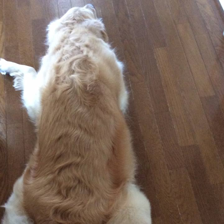 A8d8d977 0097 4c79 8679 de46135d60c2