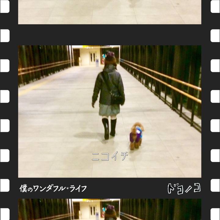 A8d9895f bcbf 4738 a4eb 6936da18e770