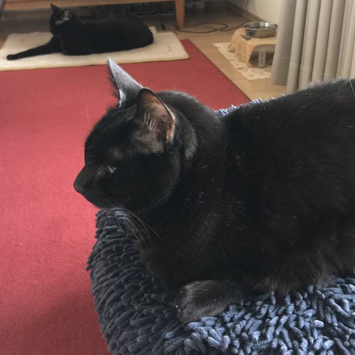 A8d99556 9337 4495 9dfe f55f5904d56b