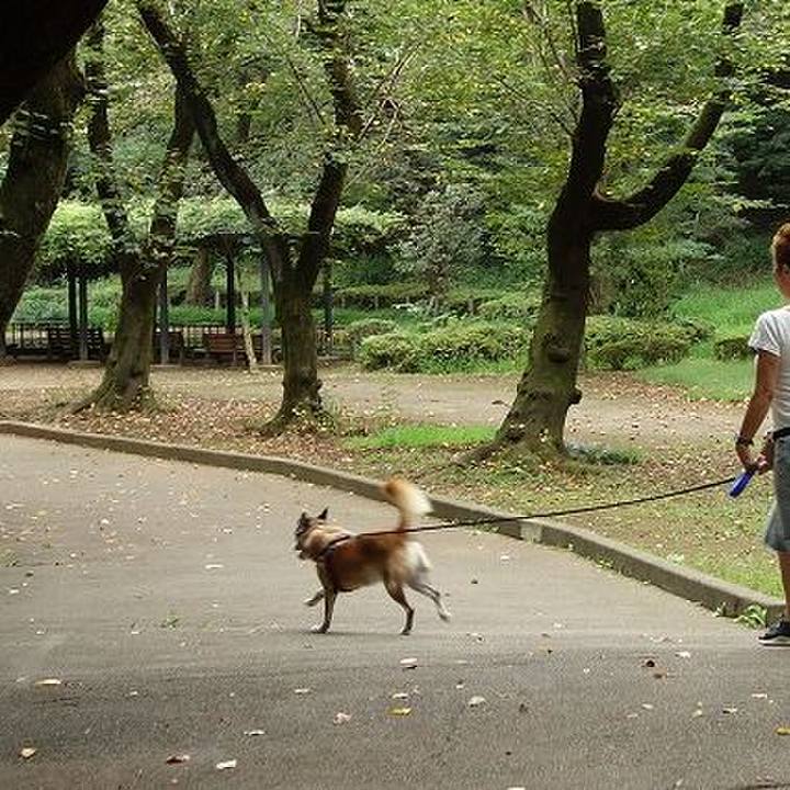 A8d9b899 704e 4d91 a960 ec2d24fe808c