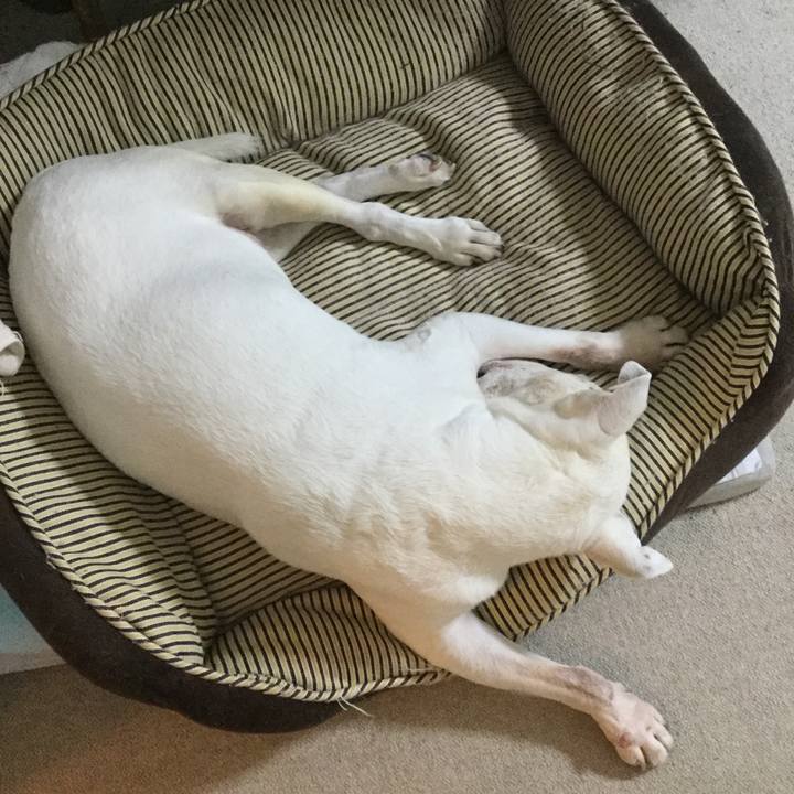 A8dafee4 b9a1 494b 9cbc 7bad4f86f4c7