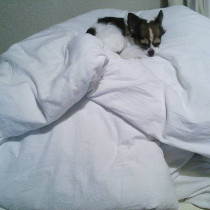 A8dbf1a4 51c6 4dee 8b85 f002381b7078