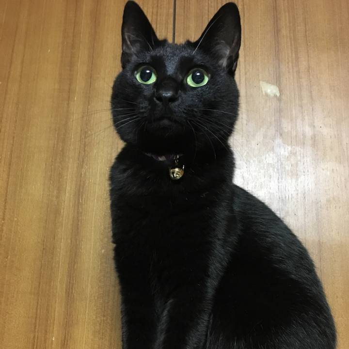 A8dbf460 2205 4a10 8db0 5fa9404d243a