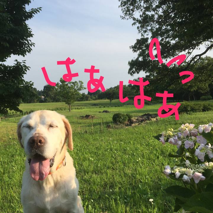 A8dc44cd b5ff 4ce7 8eb9 8b533e12af67