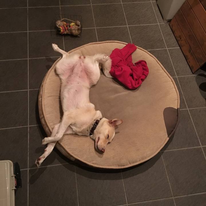 A8dcceed 0f4d 495c af7d 0a4e5fbd308f