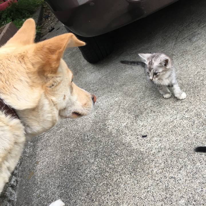 A8dcd507 0cf3 41b6 98e6 a8a7136ad37f