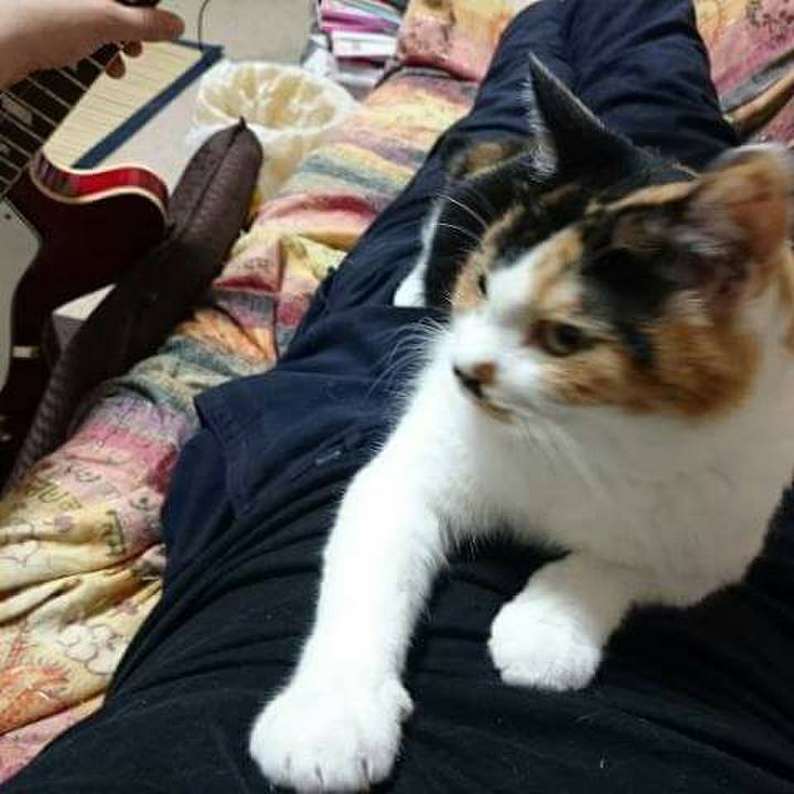 A8dd4946 7b06 4d32 958c a36af2219cdb