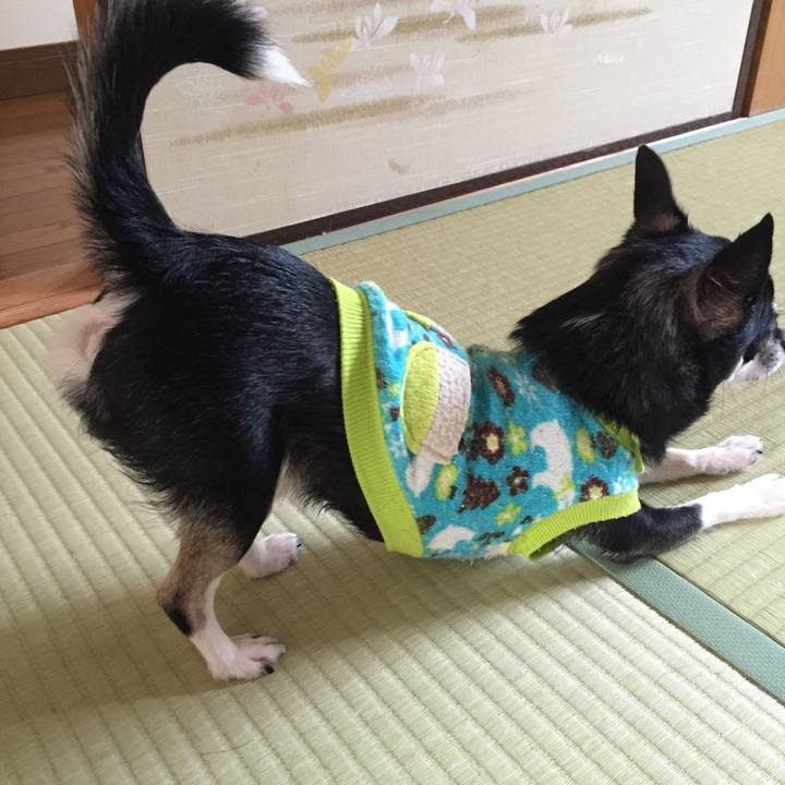 A8dd591f c9c2 40cd 913b d29315b62036