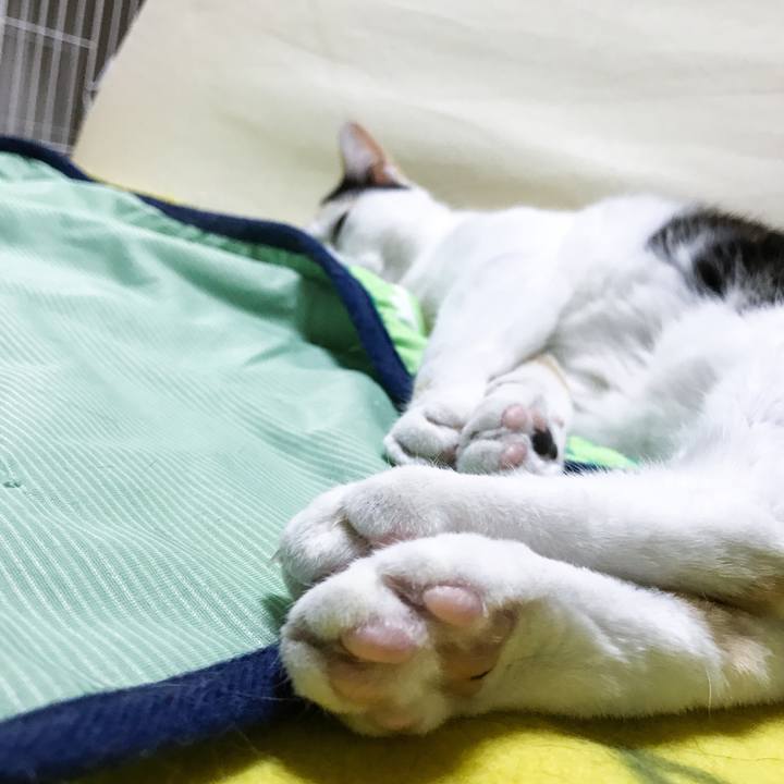 A8dd9ec9 0148 4db1 841d 8647f0e78ae7