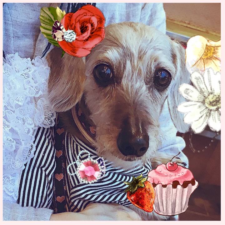 A8dda0e7 86df 431d 9b0e 100fa6e7909c