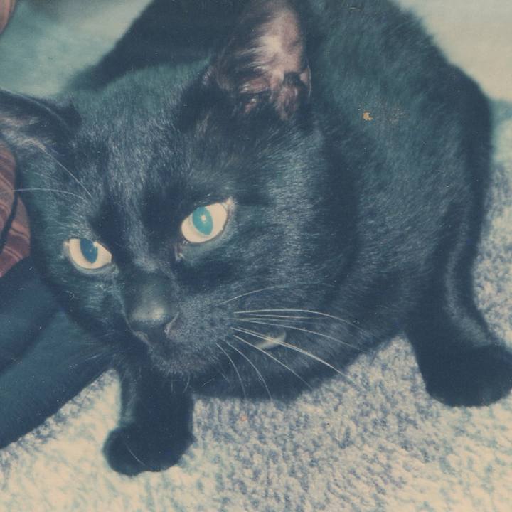 A8dda669 df0b 477d a7f7 7cdf6465995b