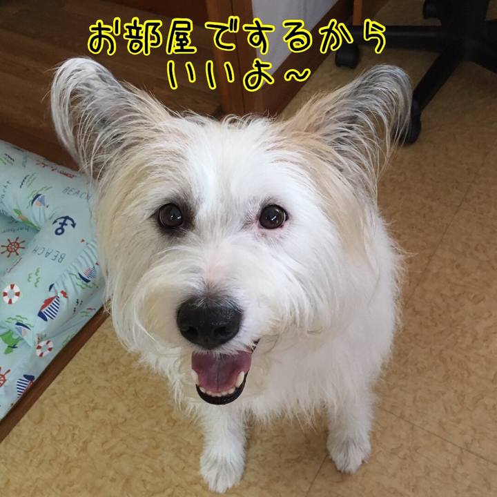 A8ddaef4 c51e 4167 808c 7ea4bd71ee72