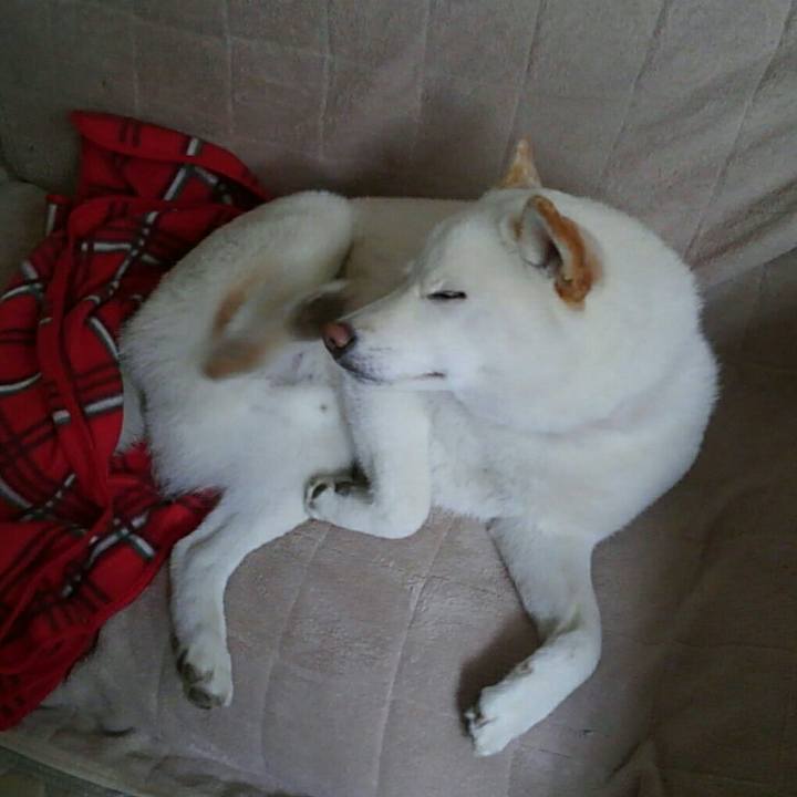 A8de0200 f1db 4f8d 9767 f6cf4928713d