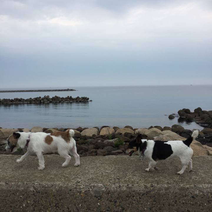 A8dec93a 2eed 4594 a174 0517cab85ba9