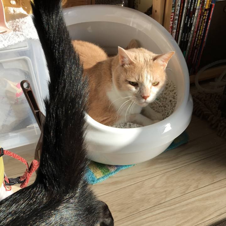 A8dfd5f6 f69c 4aed 8bf3 d51684ffc10e