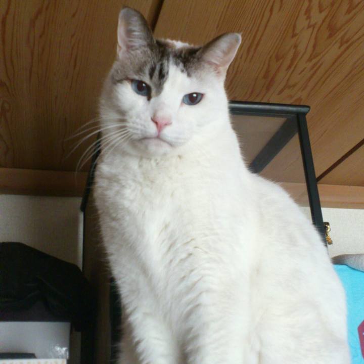 A8dfe0ba 71fb 4ded acaf b0e330ce0200