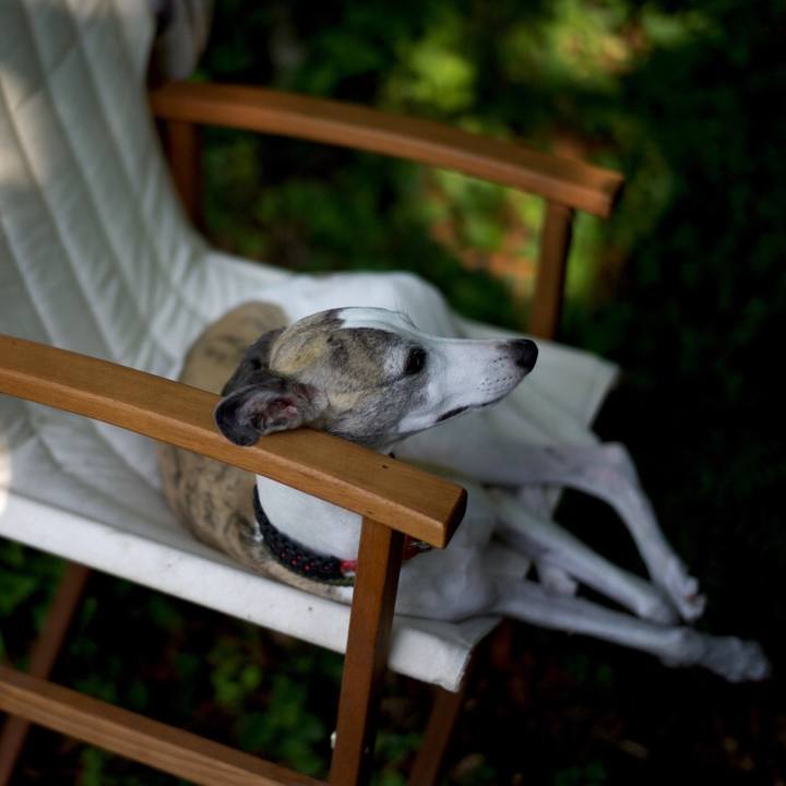 A8dff585 2bae 4091 ba45 290523ace437