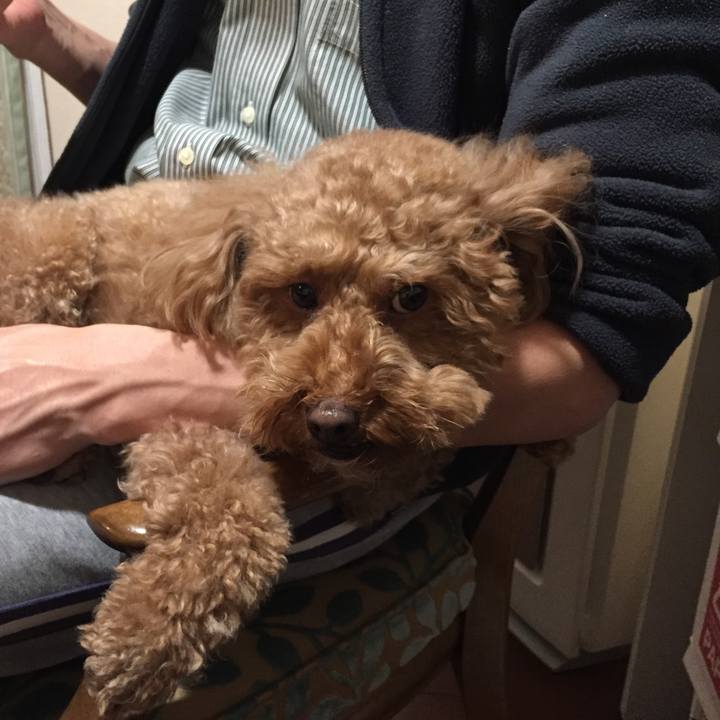 A8e03c50 ea14 4c39 b6e6 e0fbf9204856