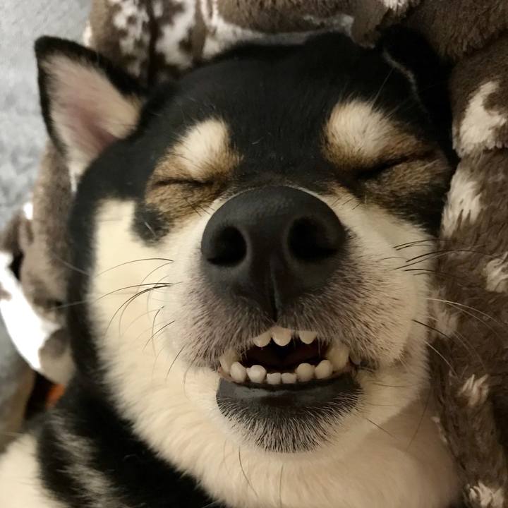 A8e0aa6e 7a93 4893 92b3 ed607c4abf6d