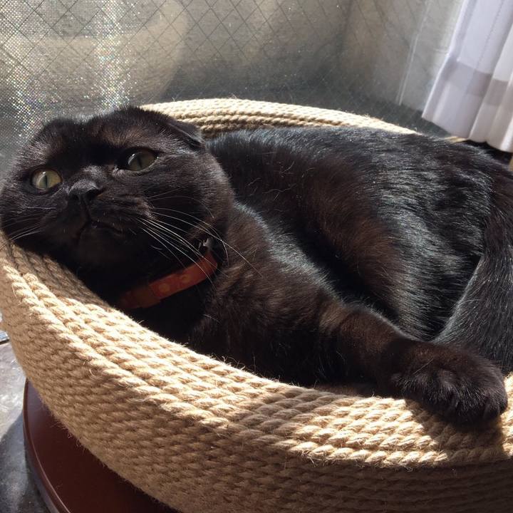 A8e101aa 26d8 493f 90d6 f114305876b4