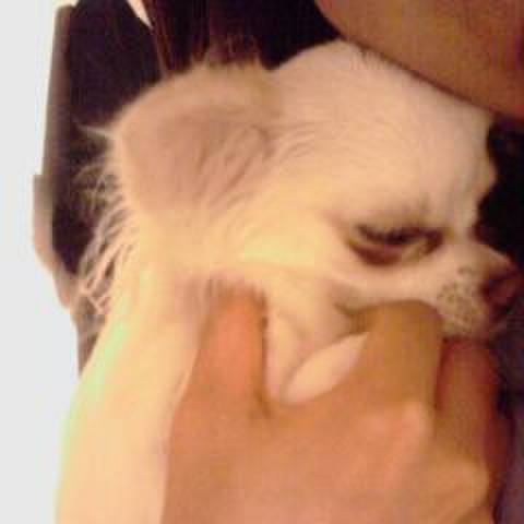 A8e14d3b bafc 4e45 852d 6e48003f9660