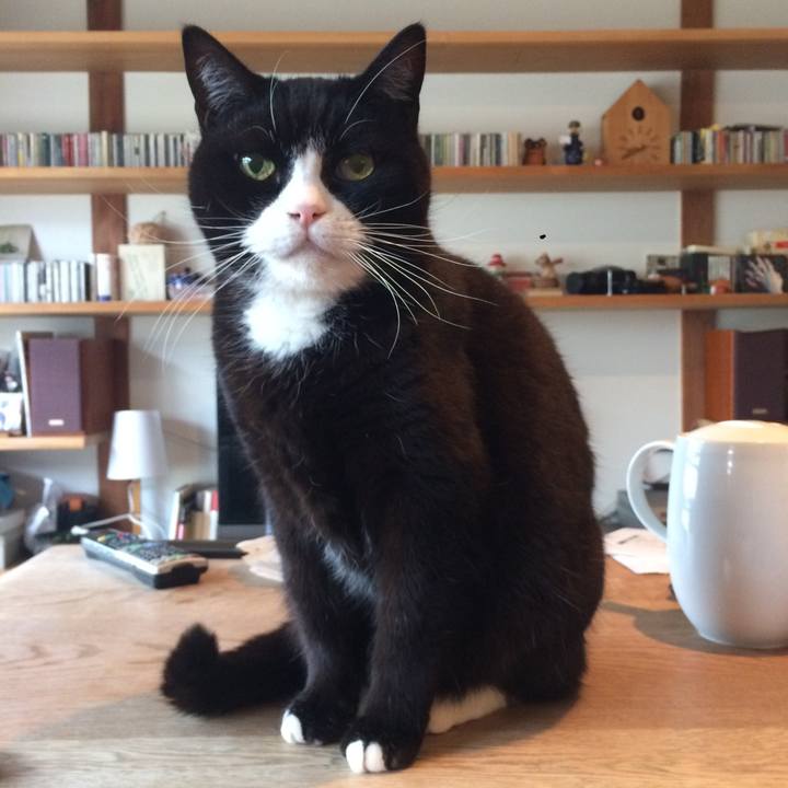 A8e153f8 16a8 41df 9272 c914c592a00e