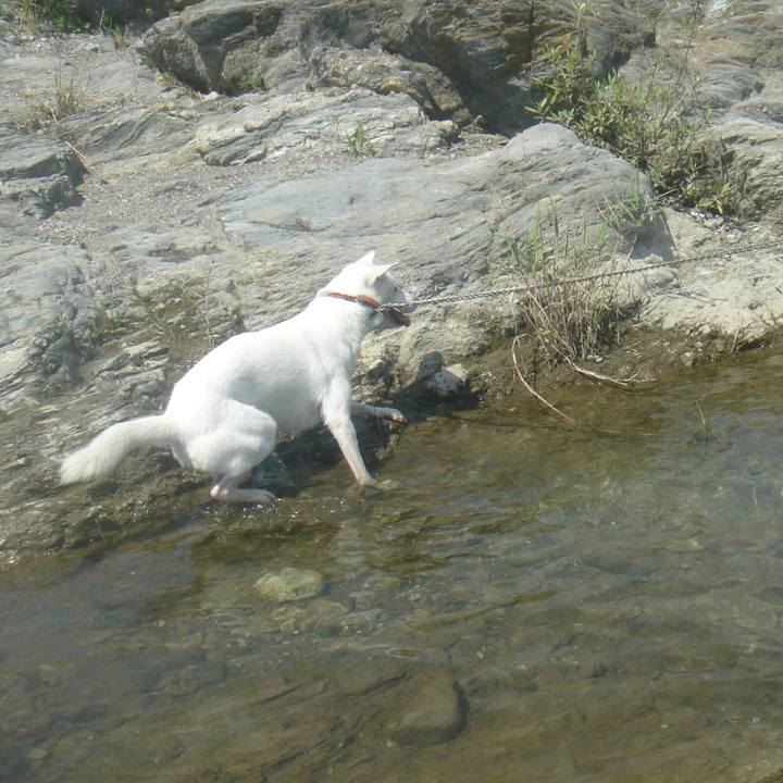 A8e1b4b1 1d3a 4104 8825 db51b47a5277