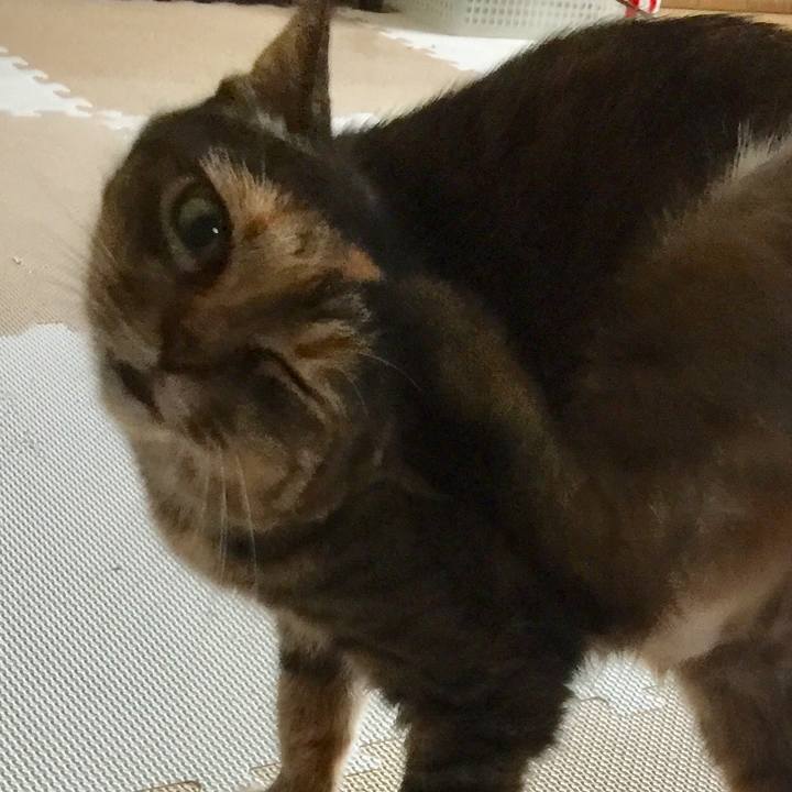 A8e21847 4e08 4a78 a79a 3357217f9755