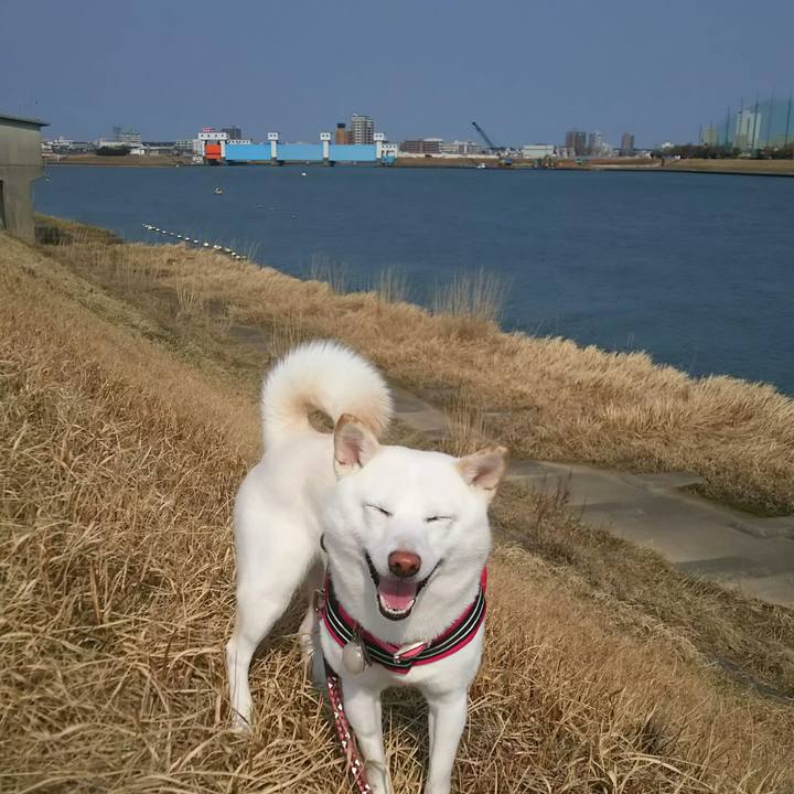 A8e26c29 07c2 40be 9fb2 8f1833da1482