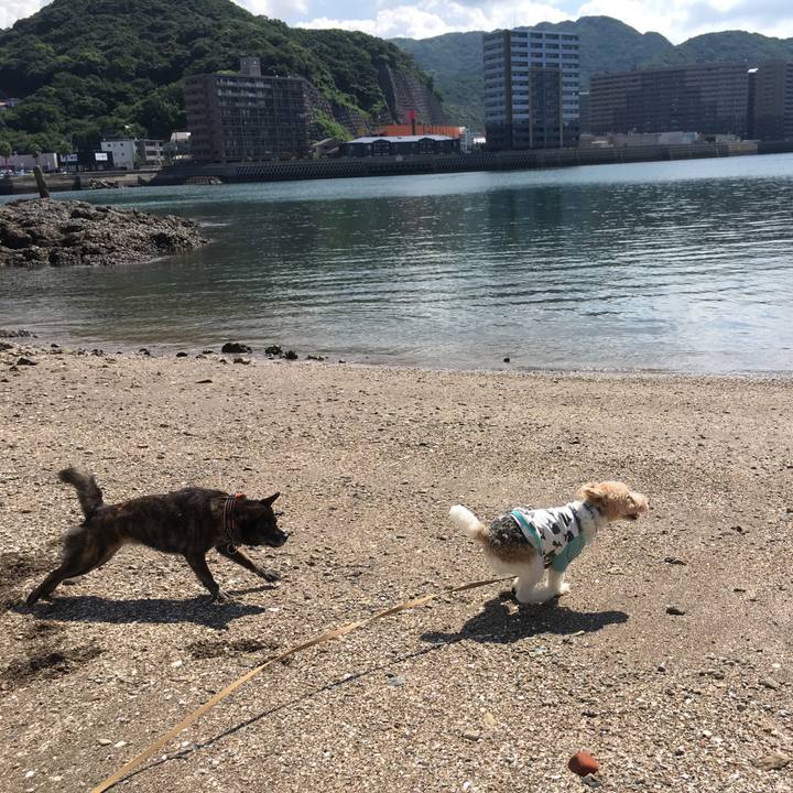 A8e2976e 3dad 4ee4 ab6d 46d3235a65a4