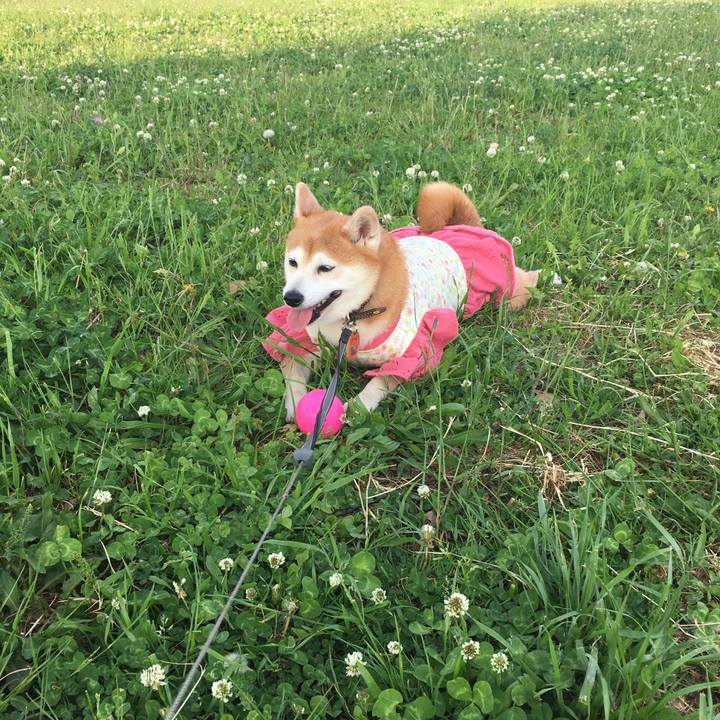 A8e2afb3 db3c 43c0 adb3 4740eb181ee5